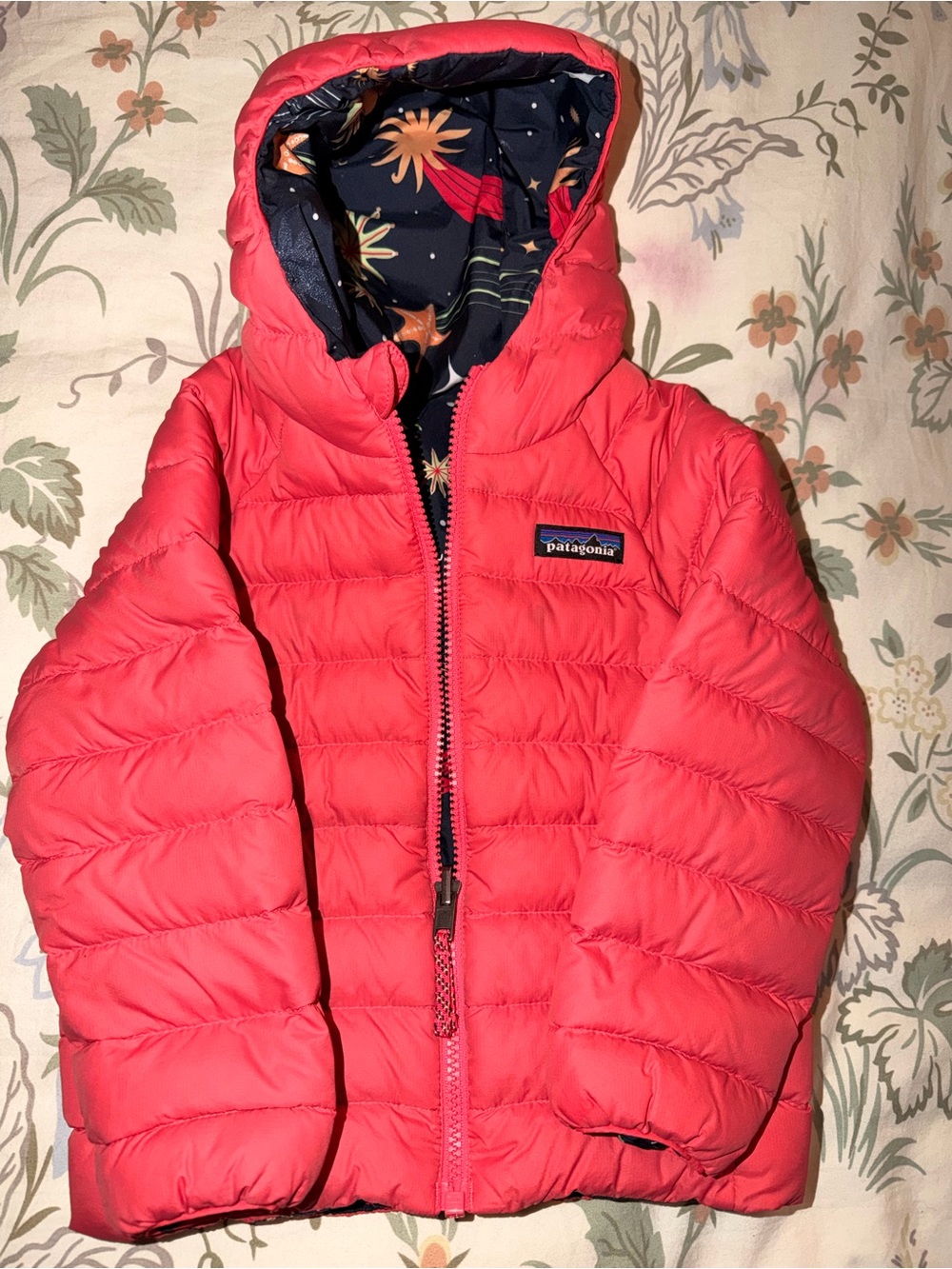 Patagonia Kids Coral Hooded Puffer Jacket 3T